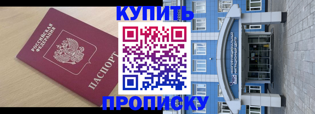 прописка поиск в Волоколамске